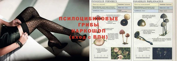 не бодяженный Заречный
