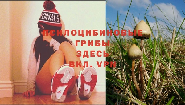 не бодяженный Заречный