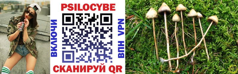 Галлюциногенные грибы Psilocybine cubensis  мега зеркало  Сретенск  купить  